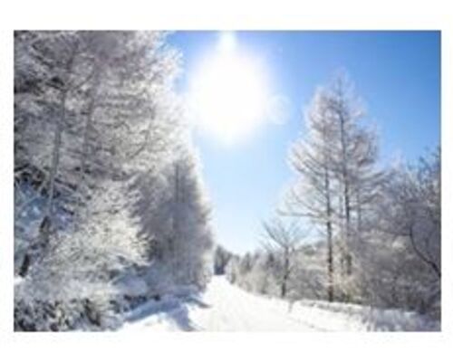 %E5%B9%B4%E6%9C%AB%E3%81%AE%E3%81%94%E6%8C%A8%E6%8B%B6