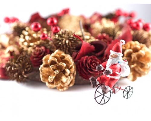 %E3%82%AF%E3%83%AA%E3%82%B9%E3%83%9E%E3%82%B9%E3%83%AA%E3%83%BC%E3%82%B9with%E3%82%B5%E3%83%B3%E3%82%BF-500x375