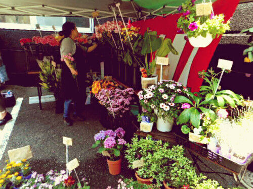 花屋b